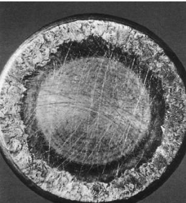 图片关键词 图片关键词
